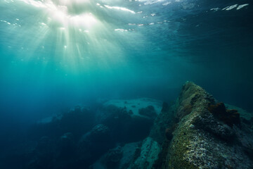 underwater view of the underwater world