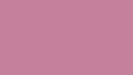 Solid Dusty Rose Background (13)