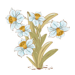 Bouquet of daffodils, spring flowers close-up. Colored hand drawn illustration isolated on white background. Easter decor