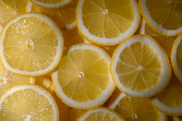 Vibrant layers of fresh lemon slices create a cheerful and zesty backdrop in warm sunlight