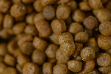 Delicious brown kibble treats scattered on a vibrant surface, appealing to pet lovers and their furry friends
