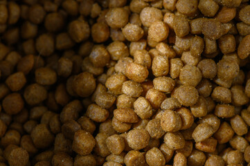 Crunchy golden kibble fills the bowl, ready for hungry pets to enjoy at any time of day