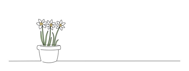 One continuous line drawing of narcissus in plant pot. Spring flowers. Editable stroke, simple, doodle design, vector illustration