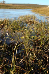 A grassy area with a body of water in the background