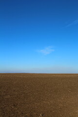 A large field with text