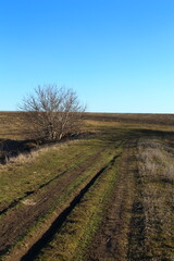 A stone wall with a fence