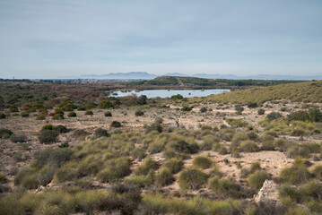 A semi-arid landscape in Clot de Galvany, Alicante, Spain, featuring scattered bushes, grass patches, a small lagoon, and distant mountains under a cloudy sky
