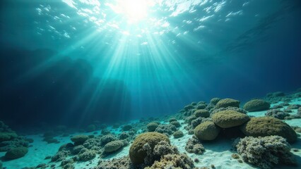 Fototapeta premium Underwater view of bleached coral reef with sun rays filtering through clear ocean water 