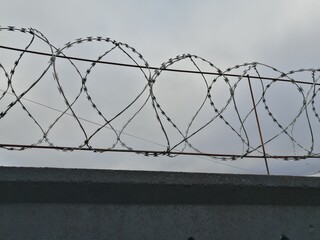 There is a fence made of metal barbed wire above the fence.