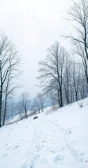 Obraz premium Winter scenery of a snowy hill with bare trees , landscape, snow, frost