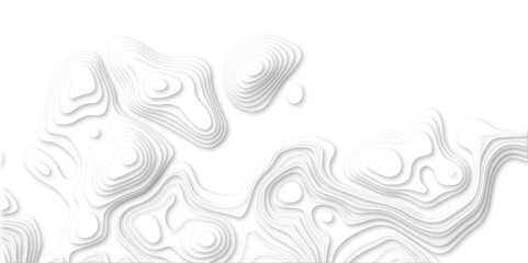 Abstract white paper cut background with line. 3d topography relief. Vector topographic illustration. realistic papercut decoration textured with wavy layer and shadow. seamless pattern wave design.