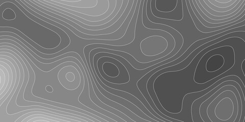 Vintage Topographic Swirl Pattern: A Retro Geometric Wallpaper Design with Contour Lines, Floral Ornaments, and Adventure-Inspired Textured Layers in Black, White, and Grey.