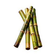 Sugar cane sticks isolated on a transparent background