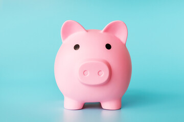 Piggy bank in the form of a pink pig on a light blue background close-up. The concepts of...