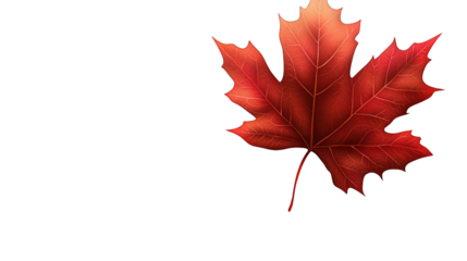 Bright red autumn maple leaf with fine details, isolated on a clean background. --ar 16:9
