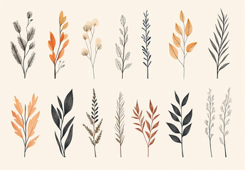 Botanical Wonders: Artistic assortment of botanical illustrations, meticulously crafted with elegant lines and earthy hues, providing an aesthetically pleasing glimpse into nature's delicate beauty.