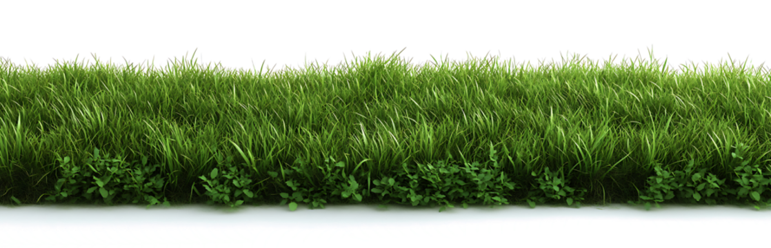 Isolated green grass field on a transparent background. PNG