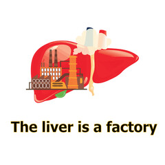 This illustration depicts the liver as a factory.This image is suitable for use in educational materials, medical presentations, and health awareness campaigns.