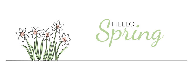One continuous line drawing of narcissus. Hello Spring, spring flowers. Editable stroke, simple doodle design, vector illustration