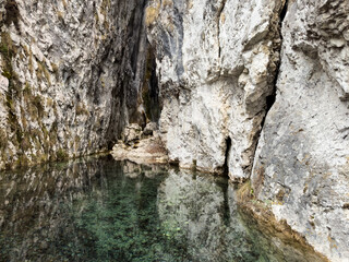 close-up of gorge cliff reflecting in the calm waters of mountain river. clean transparent mountain river. natural mountain pool