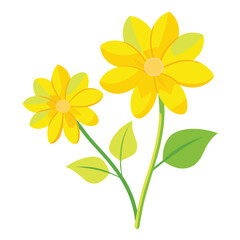 Obraz premium yellow flower isolated on white background