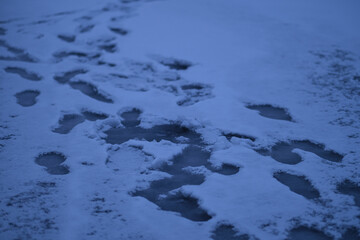 human footprints on snow covered frozen water surface