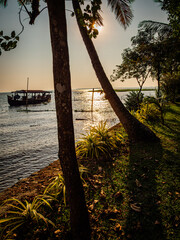 The soft light of golden hour dusk as a traditional kettuvallam houseboat approaches the vegetated shore of palm trees at Vembanad Lake south of Kochi in Kerala, southern India. 