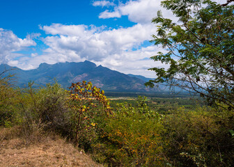 Looking across a wide plain, from foreground shrubbery to the distant hill horizon of the biodiverse Western Ghats mountain range in Kerala, southern India.
