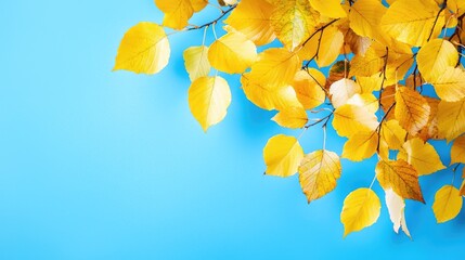 Golden autumn leaves on blue background; fall design