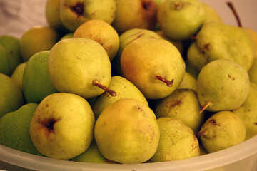 natural winter pears, natural ripe pears without hormones, in a large bowl on the balcony,