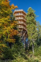 Drewniana wieża widokowa nad Krynicą. © Jacek