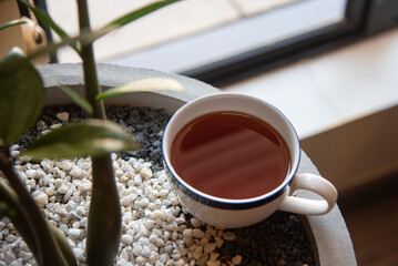 A cozy scene featuring a cup of ceylon tea resting beside a lush indoor plant in a stylish stone pot