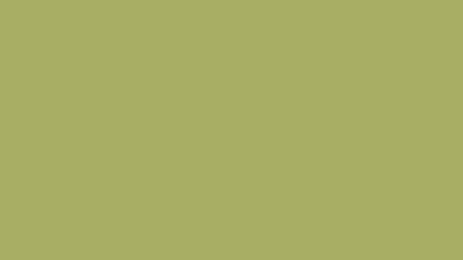 Solid Sage Green Background (47)