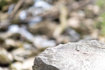 moss on stone