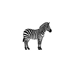 Zebra Vector Logo Design