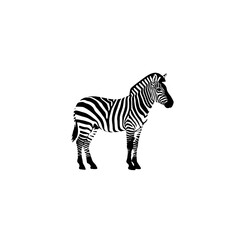 Obraz premium Zebra Vector Logo Design