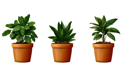 Fototapeta premium Three vibrant potted plants with lush green leaves, arranged symmetrically against a transparent background, on white background