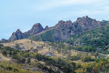 Fototapeta premium Olive groves and mountains around Ghost Town, Pentedattilo Village, Calabria, Italy, Europe