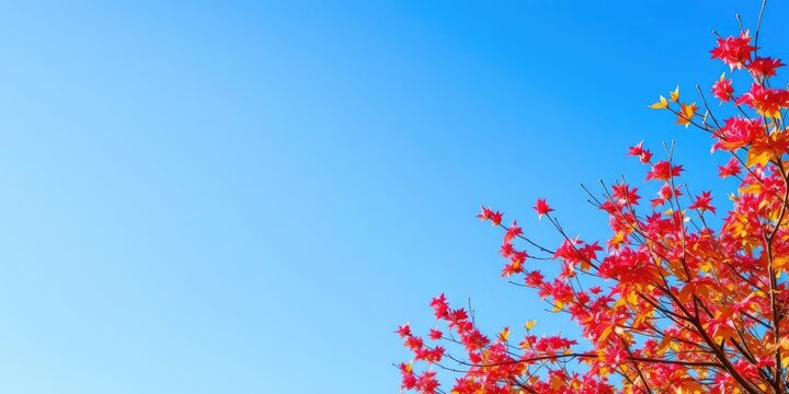 Vibrant autumn leaf in tree against deep blue sky, peaceful, tranquilo