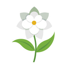 White Flower Vector Illustration ? Cartoon, Clipart & Line Art Design.eps