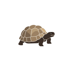 Turtle Vector Logo Design