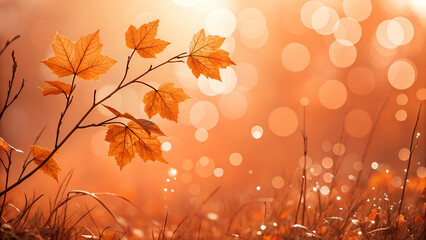 Fototapeta premium abstract orange bokeh background yellow 