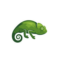 Obraz premium Chameleon Vector Logo Design