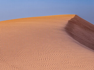 Sand dunes in the United Arab Emirates.
