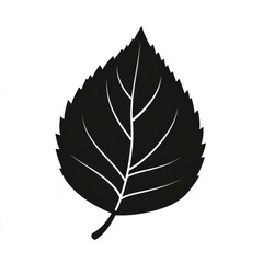 Isolated Monochrome Leaf Illustration with Veins on a White Background, Minimalist Botanical Design.