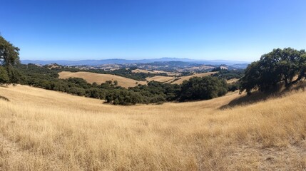 Rolling Hill Countryside Landscape with Golden Grass and Distant Mountains