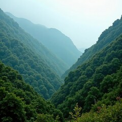 Naklejka premium Misty mountainside blanketed with lush foliage, misty, earthy, landscape