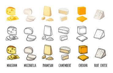 Pieces of maasdam, mozzarella, cheddar, parmesan, camembert, blue cheese. Vector color vintage engraving illustration isolated on white background.