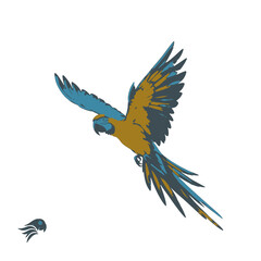 Obraz premium Parrot Vector Logo Design