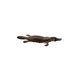 Obraz premium Platypus Vector Logo Design